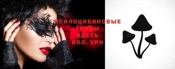 синтетический гашиш Горнозаводск