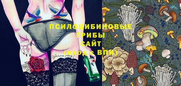 спиды Лиски