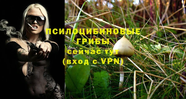 синтетический гашиш Горнозаводск