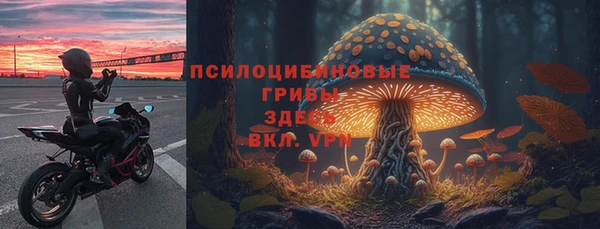 скорость mdpv Гусиноозёрск