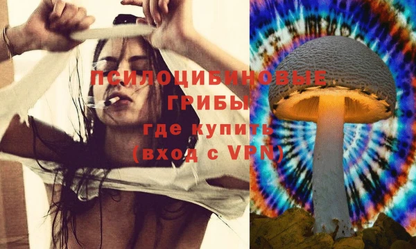 МДПВ Горно-Алтайск