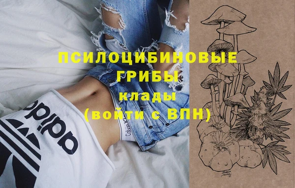 бутират Гусев
