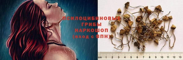 синтетический гашиш Горнозаводск