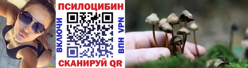 Псилоцибиновые грибы Psilocybine cubensis  Рудня 